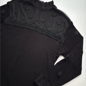 Vampire Chic Black Embroidered Sheer Mesh Mock-Neck Top / Vintage luxury goth